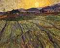 VAN GOGH VINCENT (1853-1890) - wheat-rising-sun